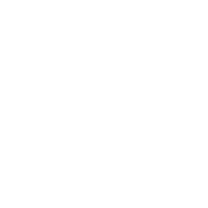 Petit logo de la marque Renatus Reptilus.